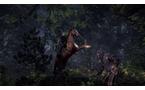 The Witcher III: Wild Hunt - Xbox One