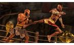EA Sports UFC 4 - PlayStation 4