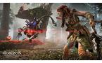 Horizon Forbidden West - PlayStation 5