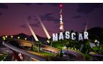 NASCAR Arcade Rush - Nintendo Switch