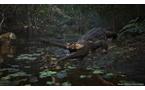 METAL GEAR SOLID DELTA: SNAKE EATER - Tactical Edition - PlayStation 5