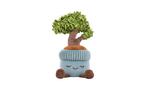 Jazwares Greenhouse by Russ 12-in Green Bonsai Tree Plush