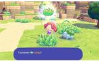 Pokemon Pokopia - Nintendo Switch 2
