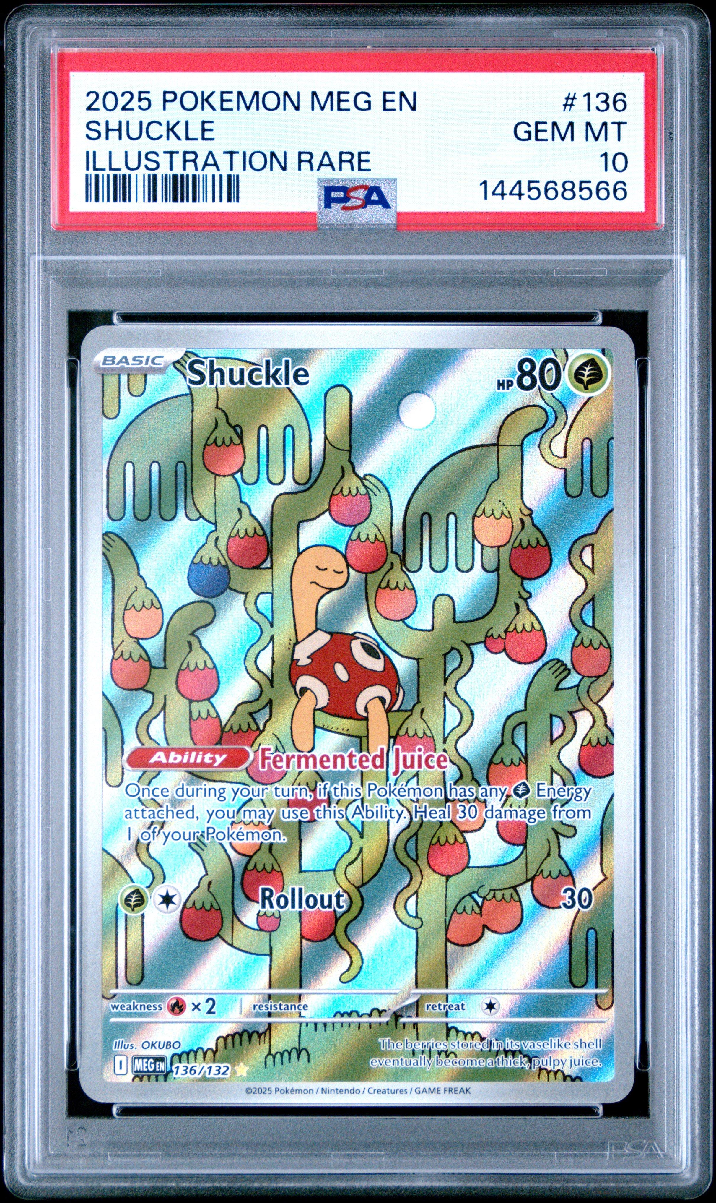 2025 Pokemon Meg En-mega Evolution 136 Shuckle Illustration Rare PSA 10
