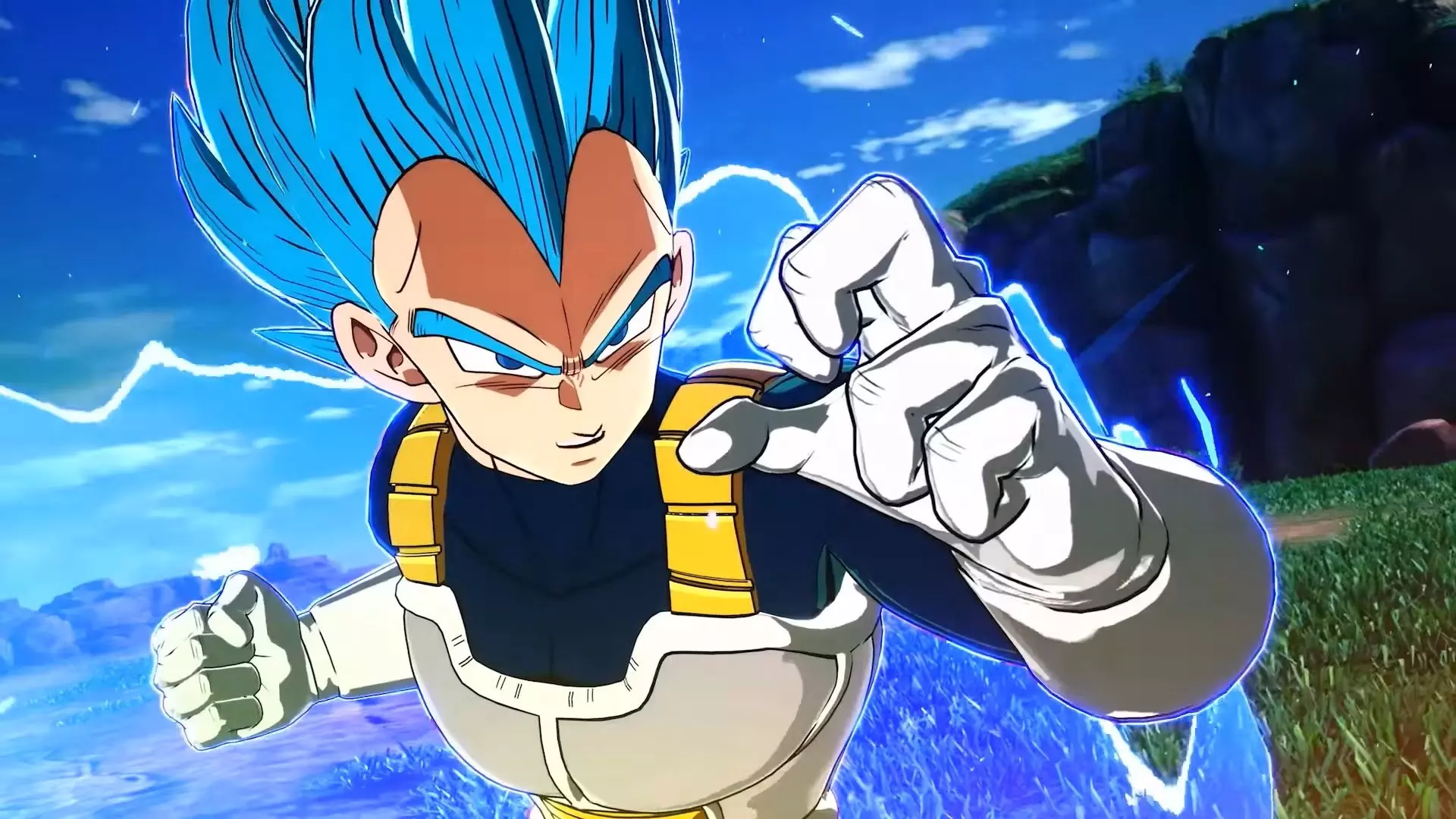 Vegeta (Super Vegeta, Great Ape Vegeta, Majin Vegeta)